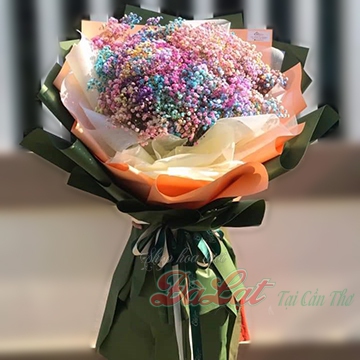 Hoa baby lớn