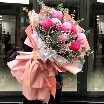 Cúc mẫu đơn hồng cam
