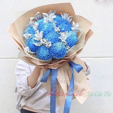 Cúc mẫu đơn da trời