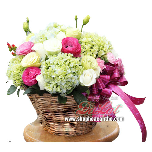 Màu xanh hi vọng